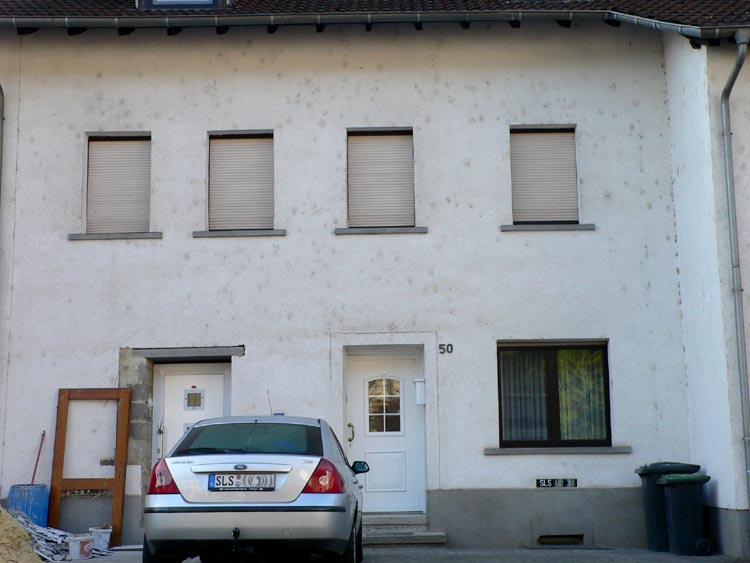 Dictyna civica
