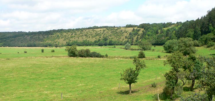 Trockenhang bei Autigny-la-Tour