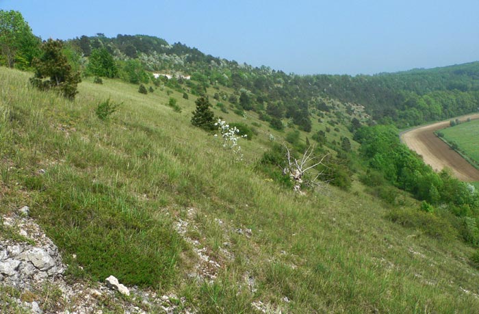 Côte sur la Preye