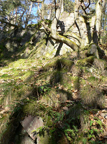 Felskopf im Leuktal