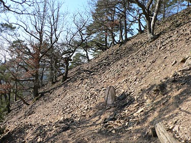 Blockschutt am Leienberg