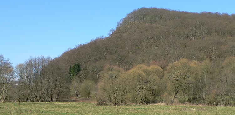 Schlossberg bei Büschfeld